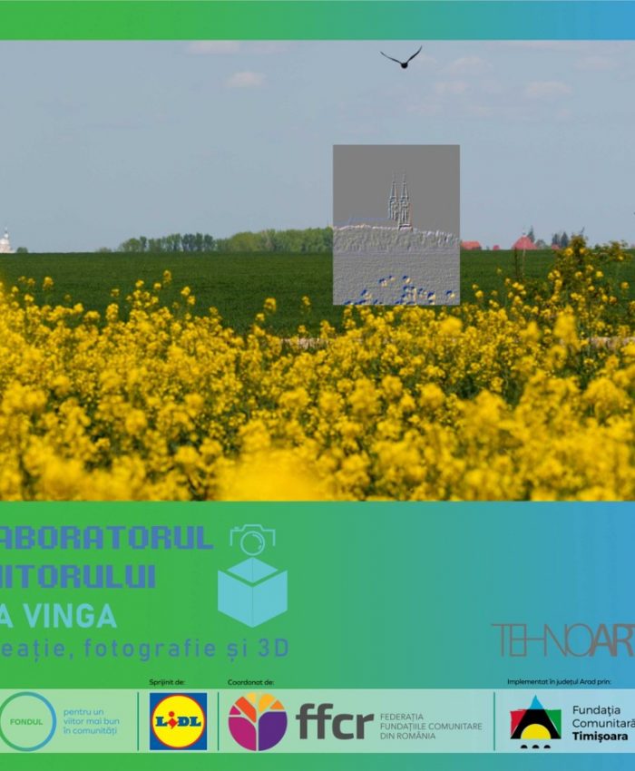 Laboratorul ViItorului